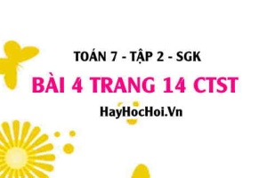 Bài 4 trang 14 Toán 7 Tập 2 Chân trời sáng tạo